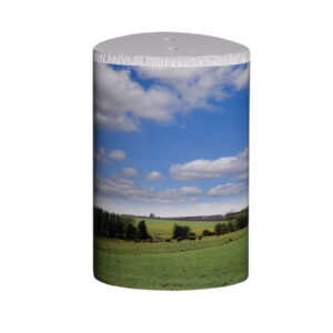 Mark med blå himmel