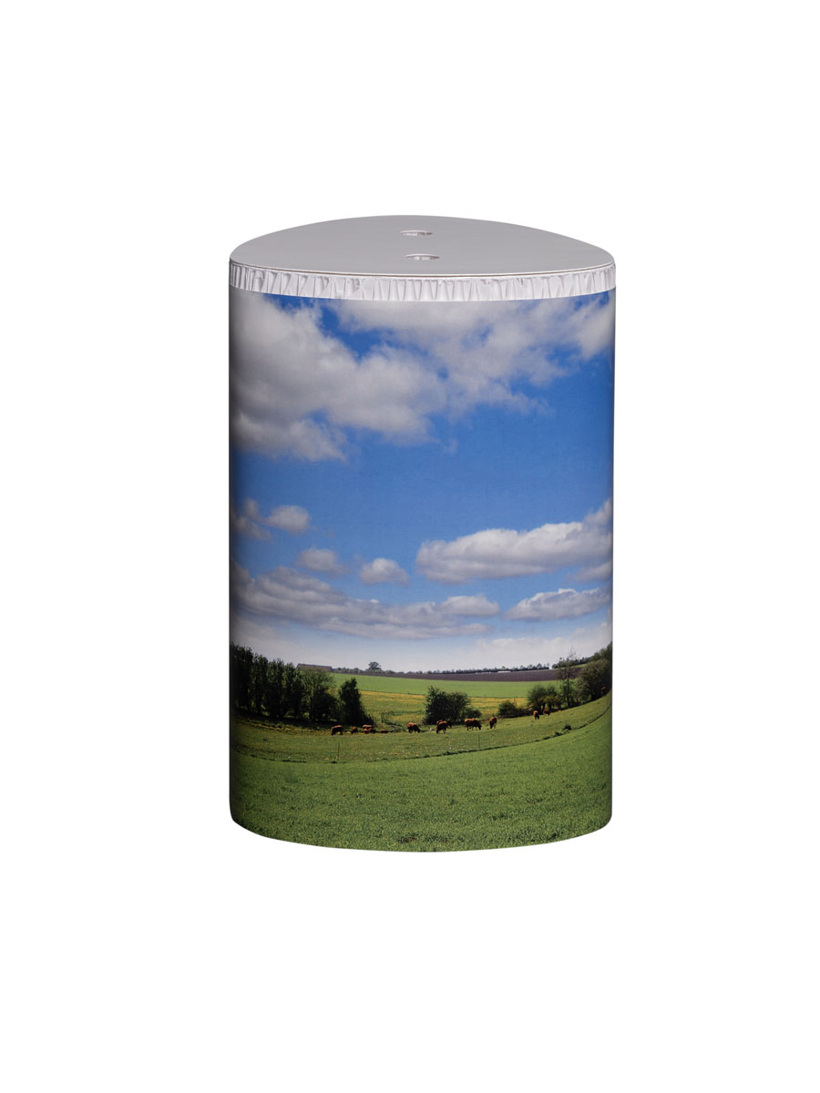 Mark med blå himmel